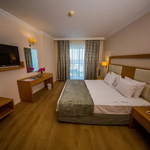 book here