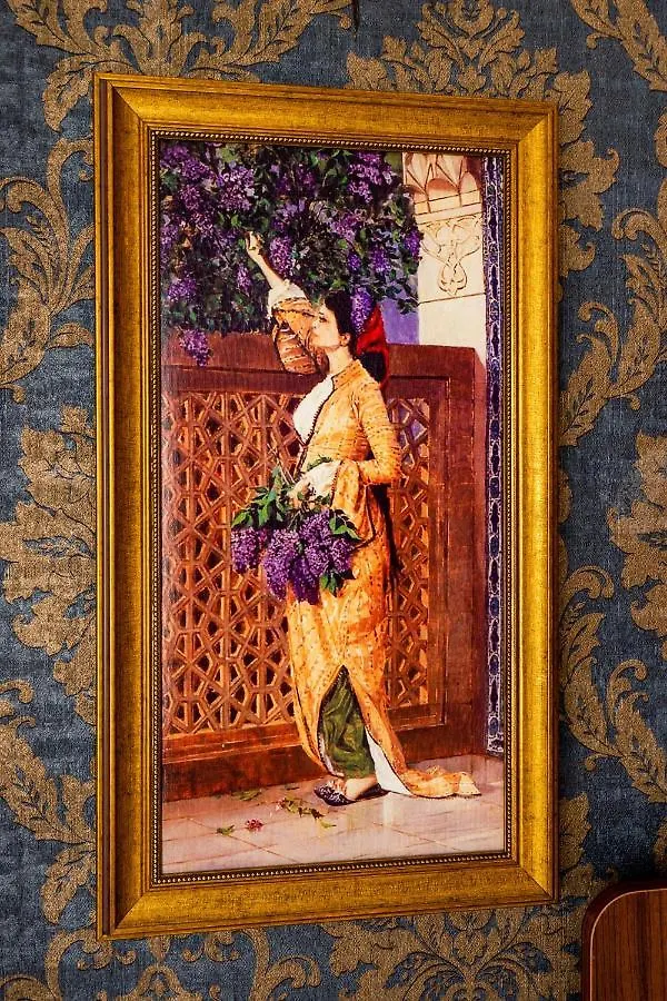 The First Ottoman Dream Aparthotel Istanbul 0*,  Turkey